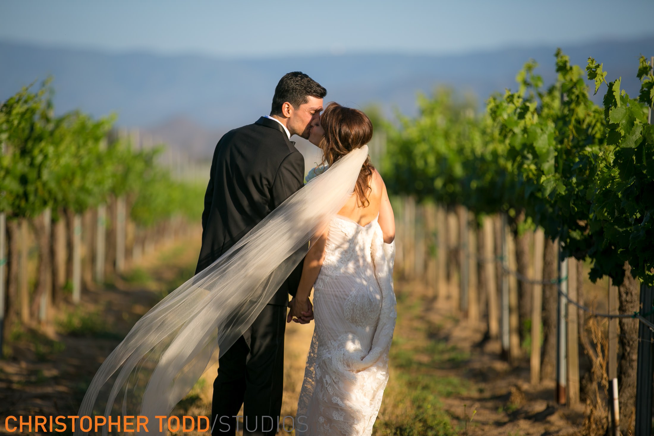Ponte Winery Bride And Groom