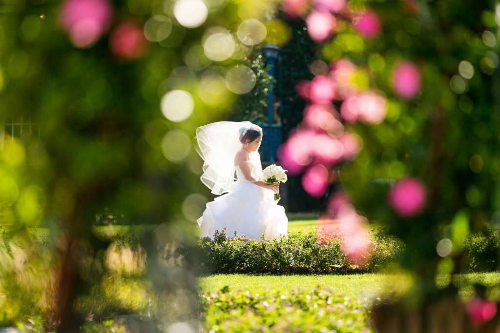 Wedding Photography Portfolio |