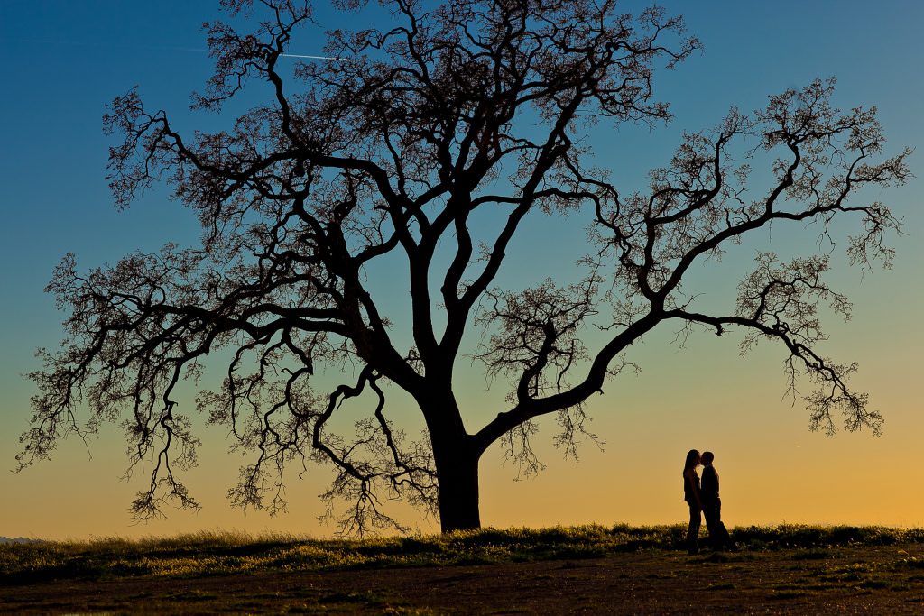 Engagement Photos Orange County | Portfolio