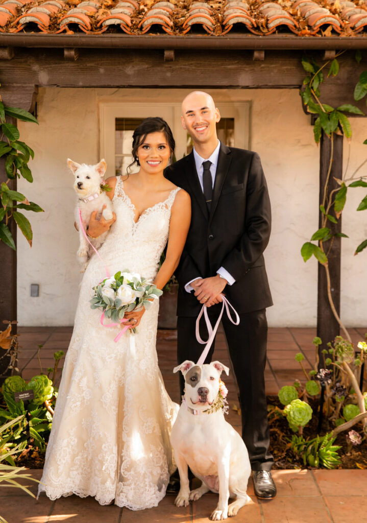 couple eloping with their two dogs